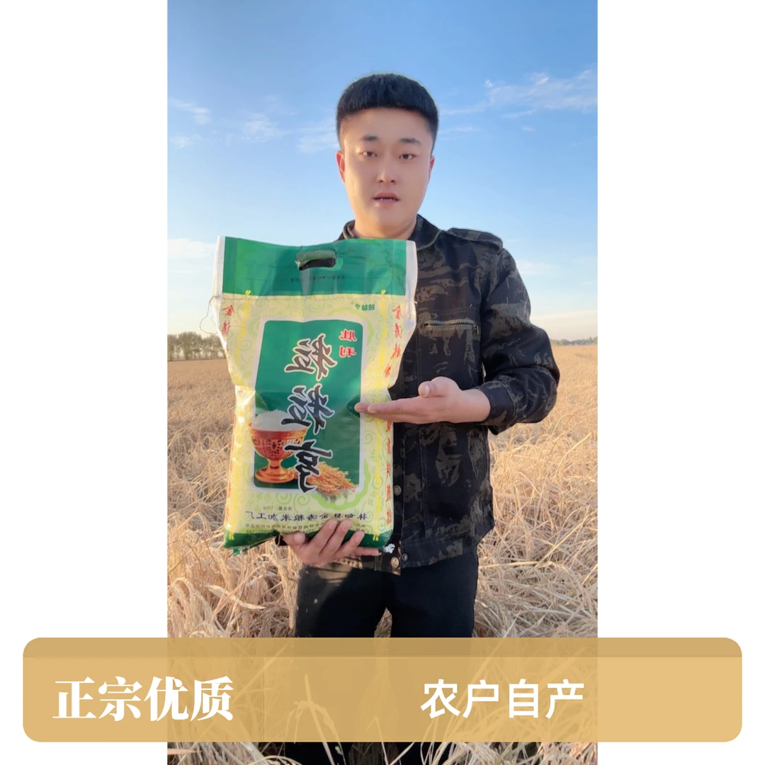 正宗黑龙江东北大米农户自产自销厂家直发现磨优质大米真空包装