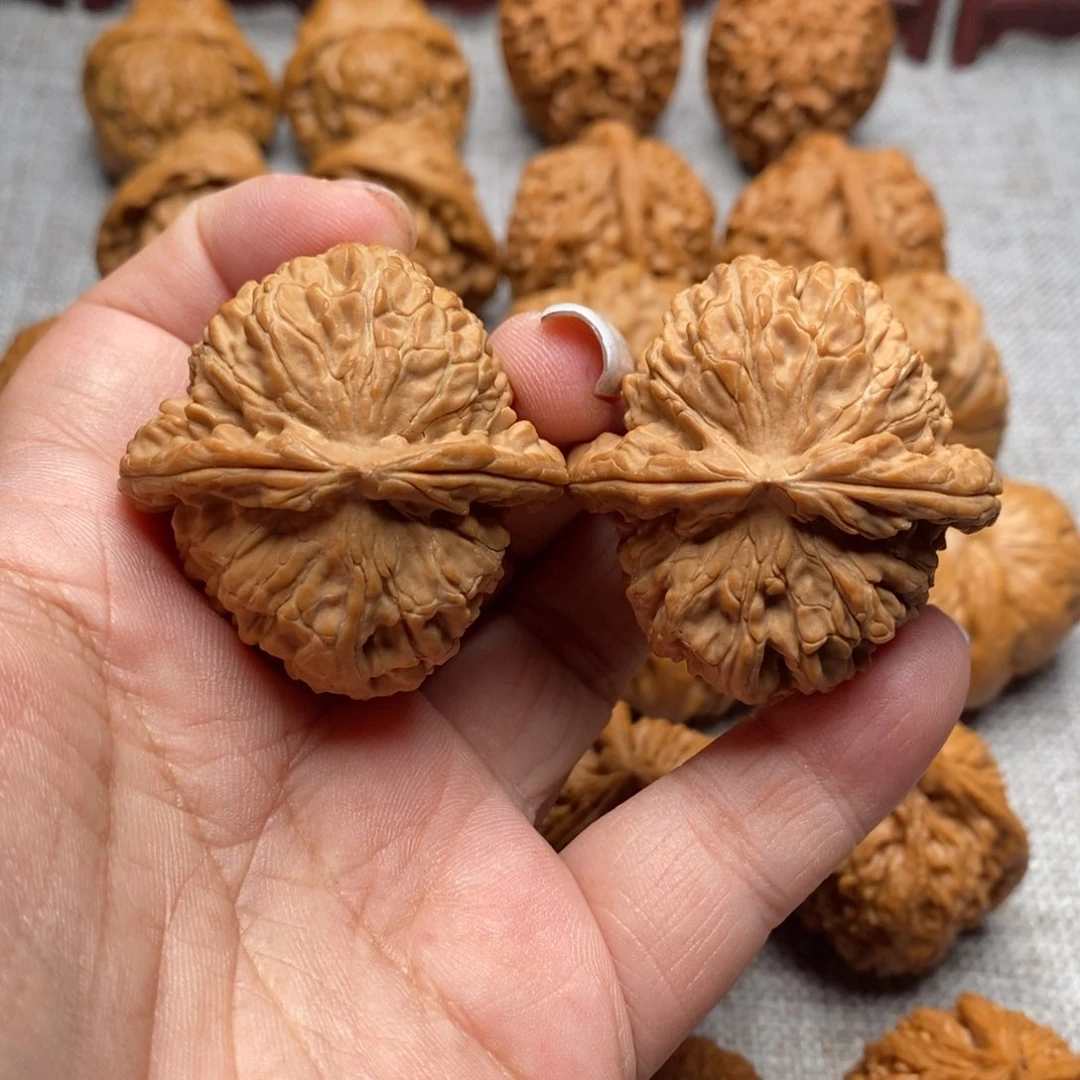文玩核桃把件白狮子41全品