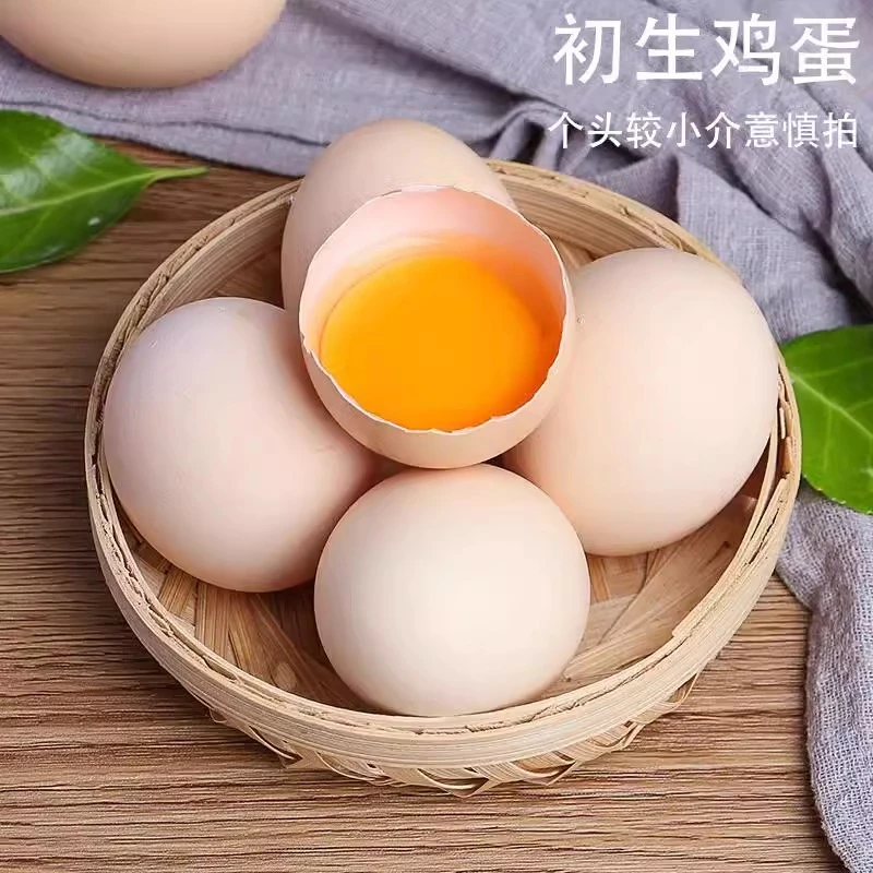 甄选新鲜初生蛋破损包赔健康老少皆宜营养喂养