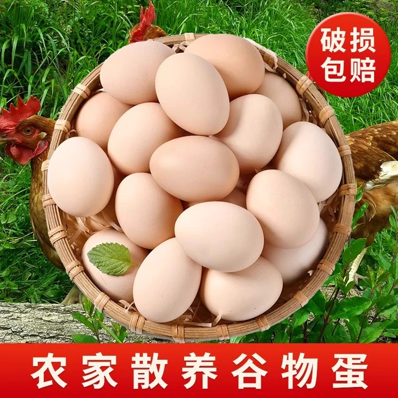 40g果园喂养散土鸡蛋新鲜土鸡蛋一箱农家笨鸡蛋草鸡蛋散养鸡蛋