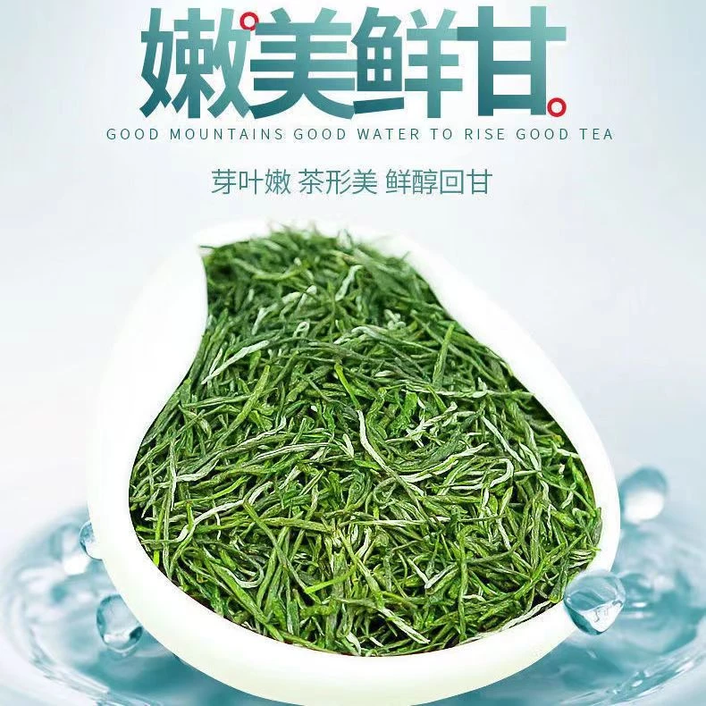 国乐（拍二送一）信阳毛尖2025新茶雨前手工茶浓香耐泡口粮茶绿茶