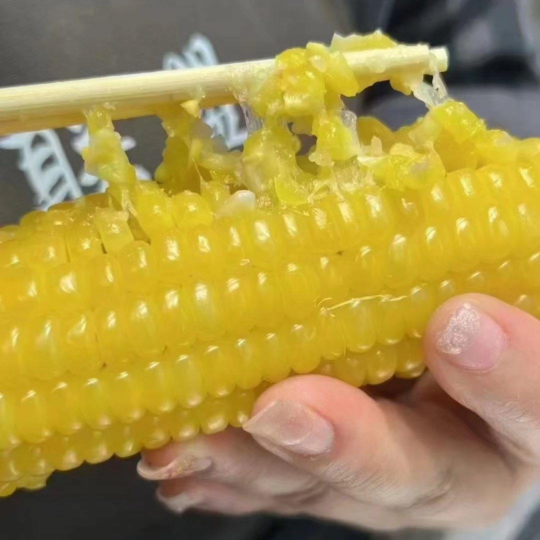 黄玉米