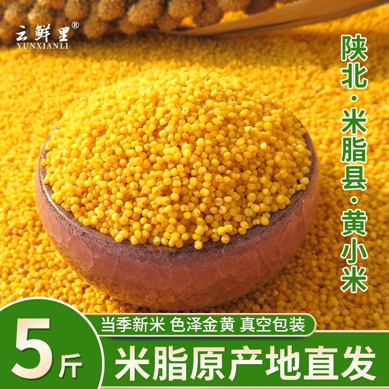 黄小米5斤正宗农家陕北糯小米粥孕妇小孩五谷杂粮陕西特产新鲜