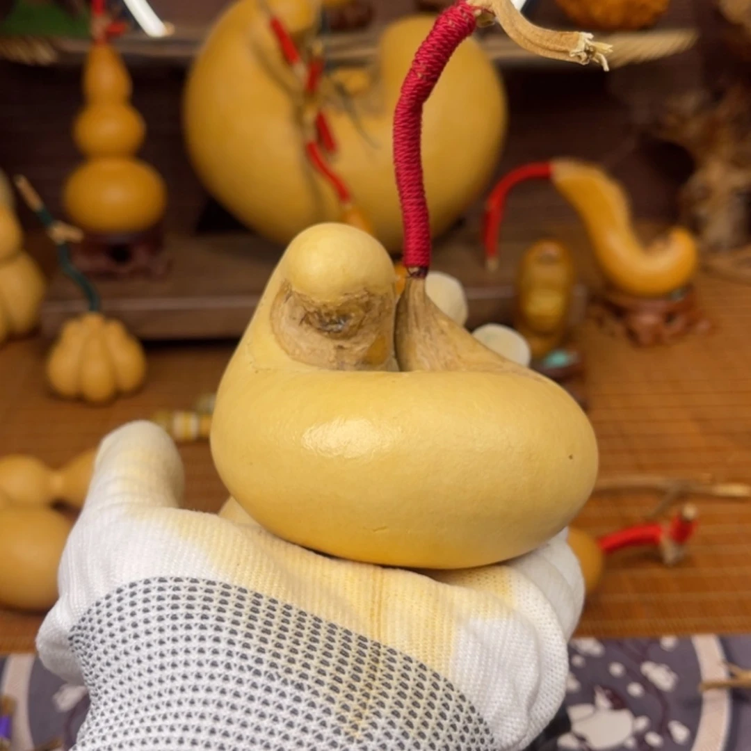 【闪购商品】铜葫芦李*树