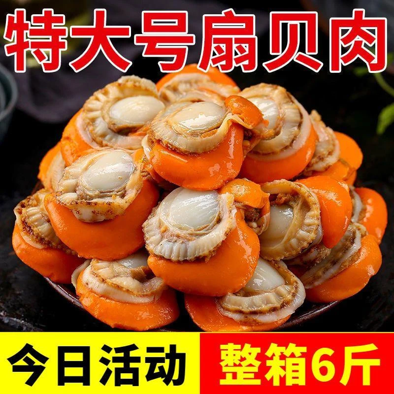 特大号扇贝肉新鲜扇贝肉海捕大扇贝海鲜瑶柱海鲜水产批发1斤6斤