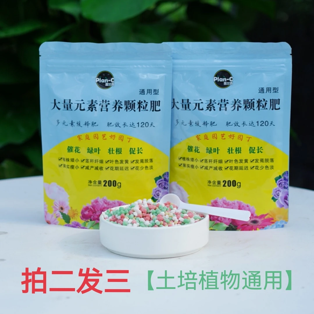 颗粒肥 花卉绿植通用缓释肥控释肥发财树肥料绿萝金钱树幸福树花