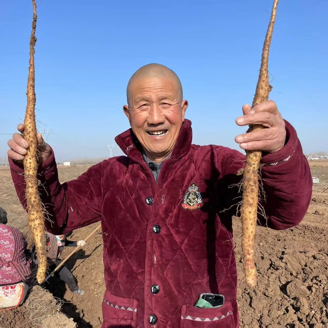 正宗焦作温县垆土地铁棍怀山药新鲜现挖现发粉糯干面净重5斤