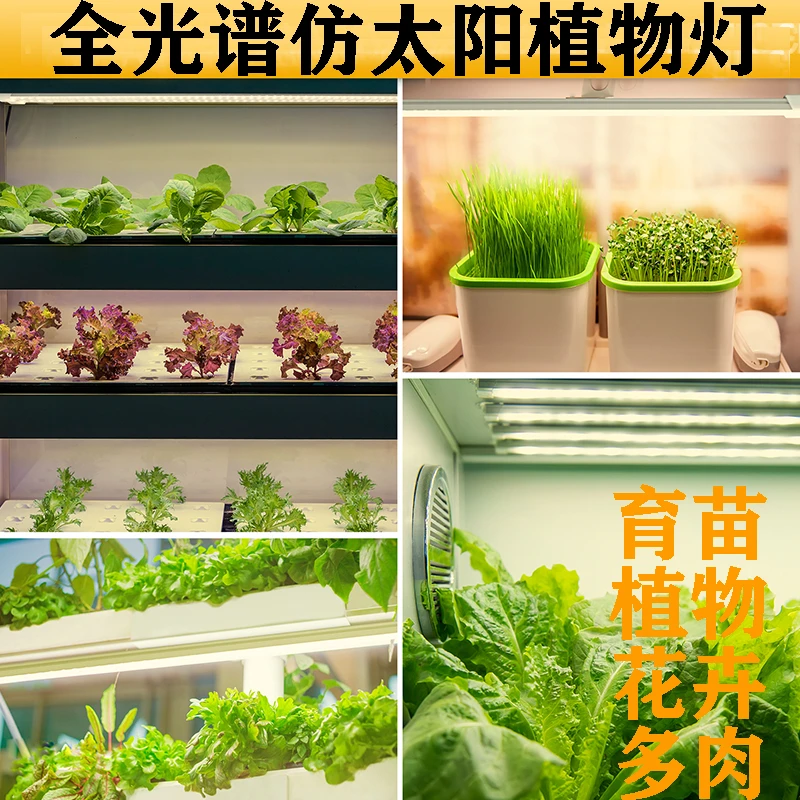 全光谱仿太阳光植物补光灯led促生长上色多肉蔬菜花卉植物生长灯