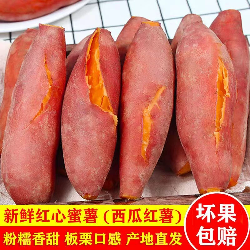 【8.6元抢5斤】广东高州沙地西瓜红蜜薯软糯香甜地瓜新鲜红薯现挖