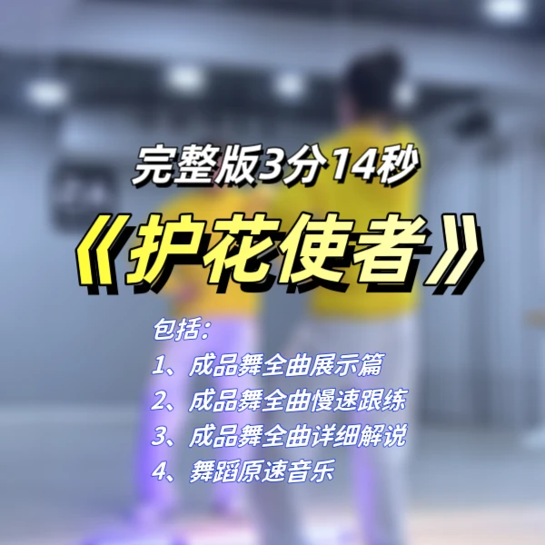 《护花使者》舞蹈完整版详细分解线上视频课