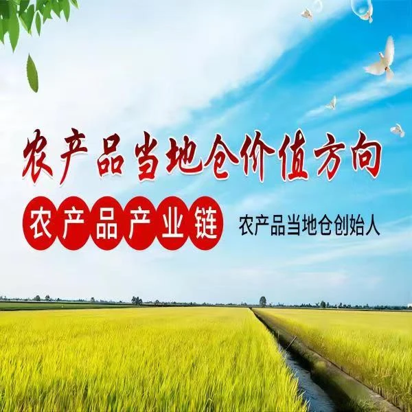 浪花-农产品当地仓线上视频课