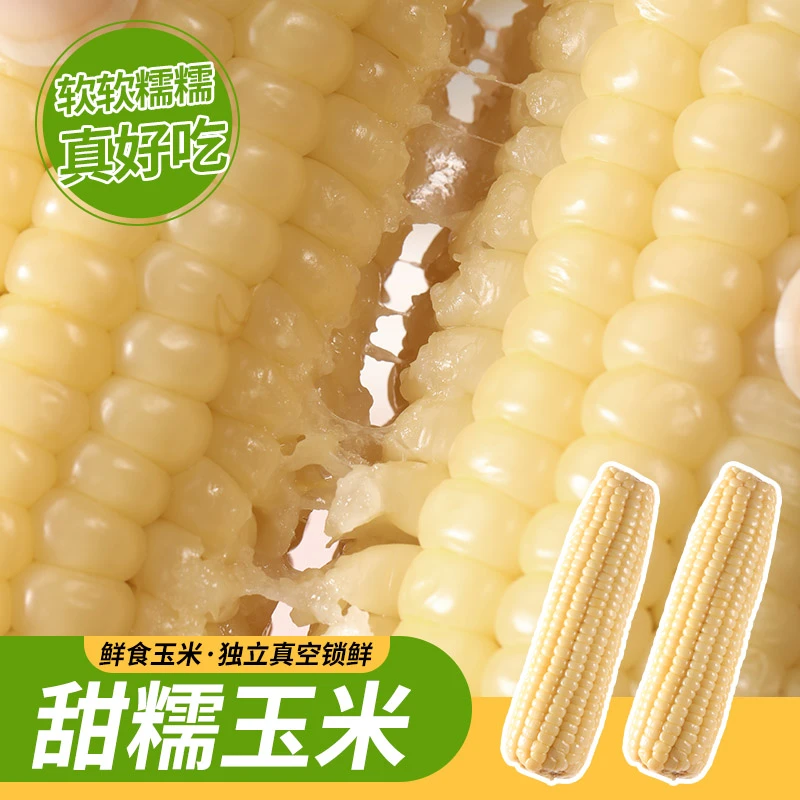 东北白糯玉米拍8赠2到手10支*200g-280g软糯拉丝