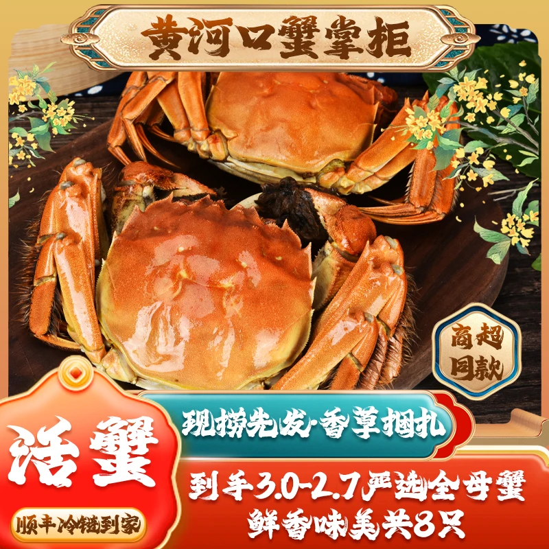 【活蟹】黄河口蟹掌柜【全母蟹】3.0-2.7两8只冷链鲜活到家