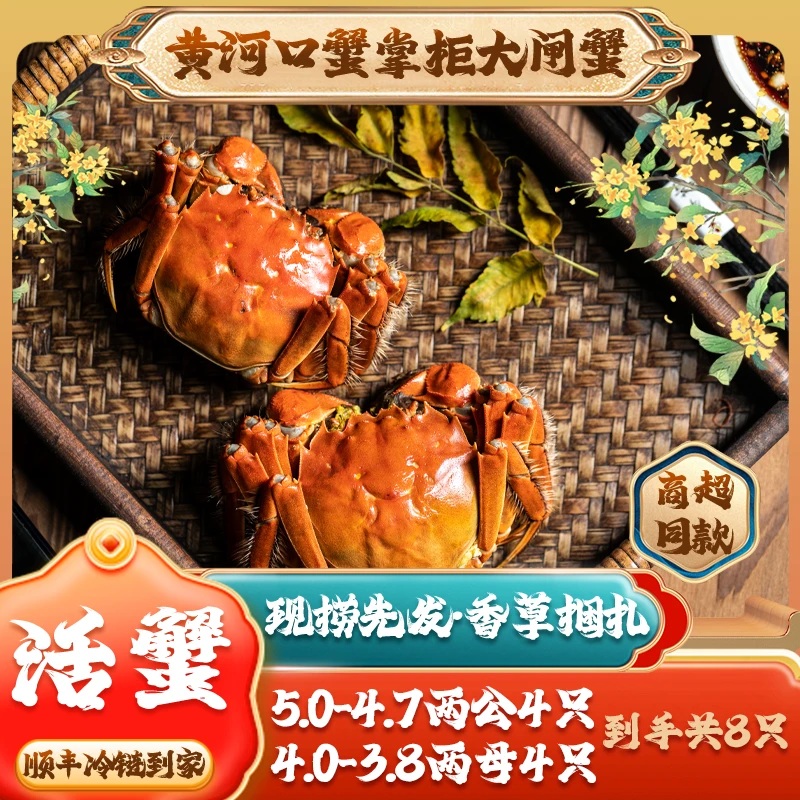 【活蟹】黄河口蟹掌柜大闸蟹公蟹5.0-4.7两4只+母蟹4.0-3.8两4只
