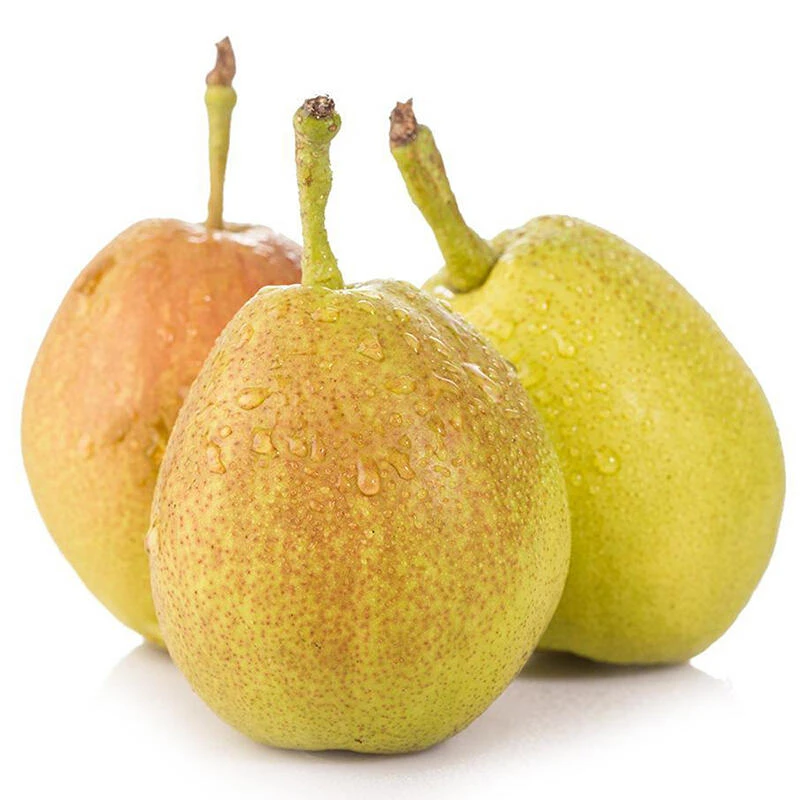 库尔勒香梨（二级）