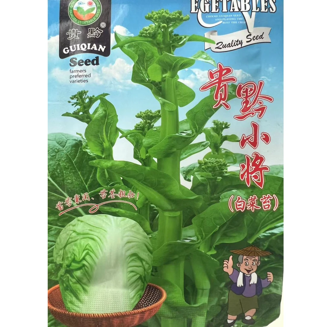 早熟白菜苔种子小将白菜苔苔球两用丰研小将苔白味美春秋蔬菜种子