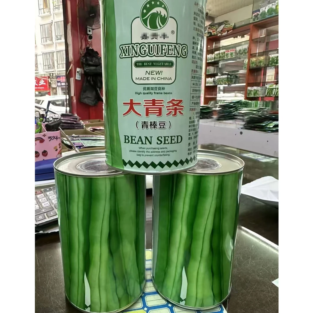 早熟大青条四季豆种子无筋青棒豆原装高产架豆籽春秋基地蔬菜种子