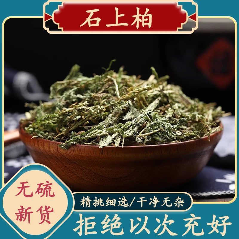 野生石上柏500克包邮石上柏新鲜干货地柏草石上柏正宗晒干非葛根