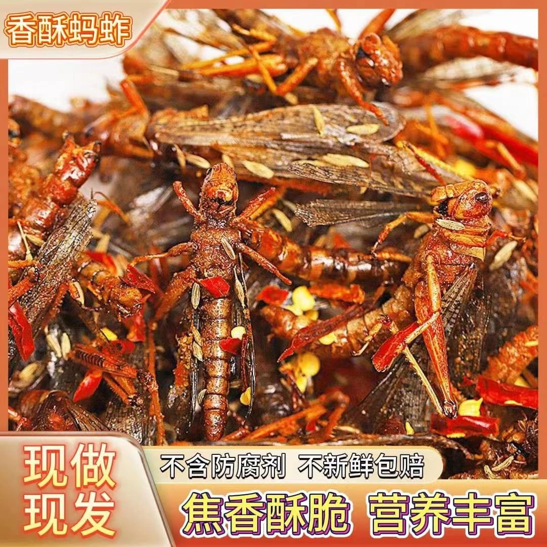 新鲜油炸蚂蚱香辣大蚂蚱蚱蜢蝗虫香辣五香即食小吃叶菜40g-400g