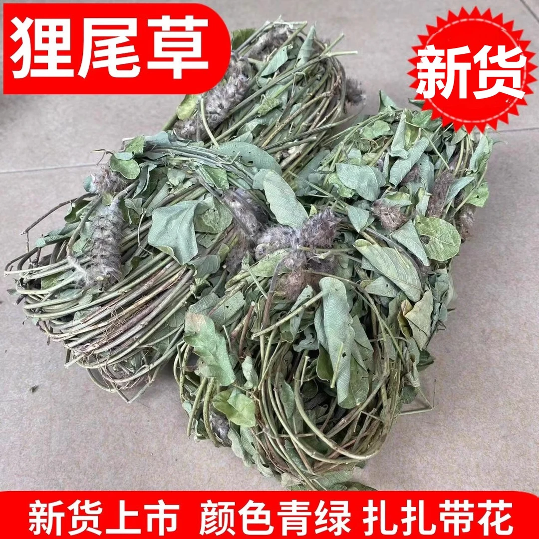 狸尾草野生正宗羊咩香新鲜干货250-500g煲汤精选晾晒新货非葛根