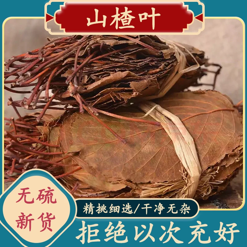 精选野生山楂叶茶新鲜晒干山楂叶泡茶水喝山渣叶500克包邮非葛根