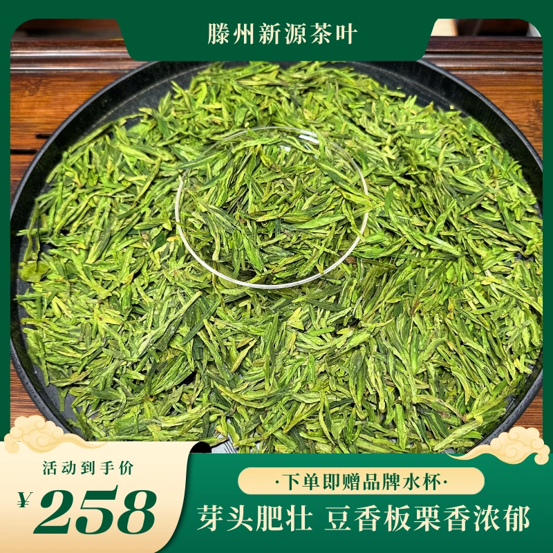 2024年高山龙井香高味浓豆香结合栗香耐泡