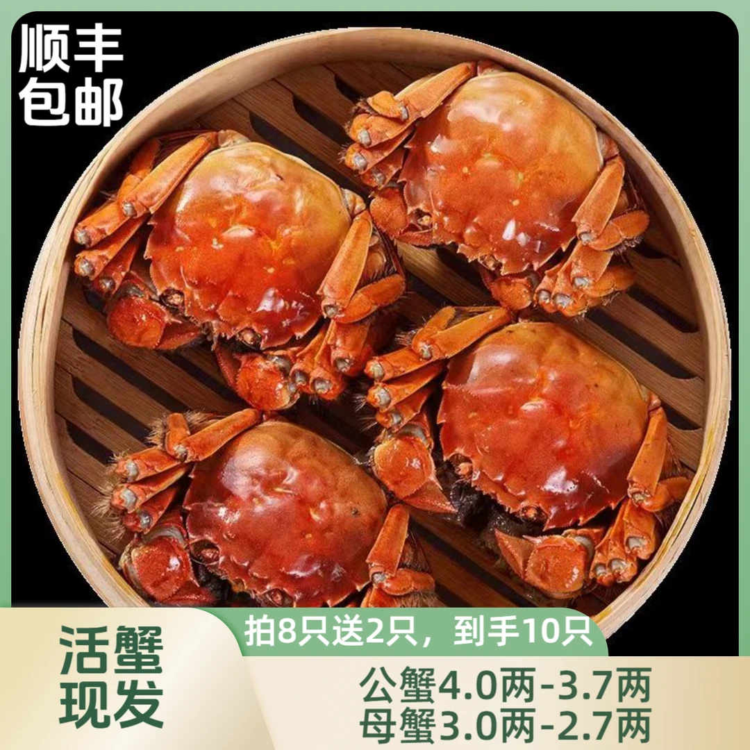 【精挑大闸蟹】公蟹4两-3.7两母3两-2.7两蟹两顺丰包邮8只送2只