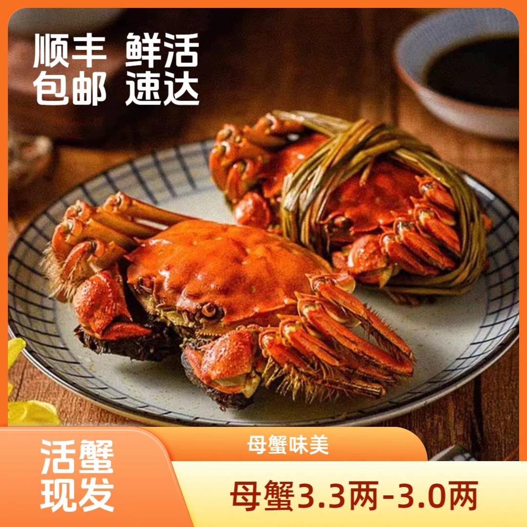 【精品大闸蟹】苏蟹鲜活螃蟹河蟹母蟹3.3两-3.0两顺丰包邮10只/8只
