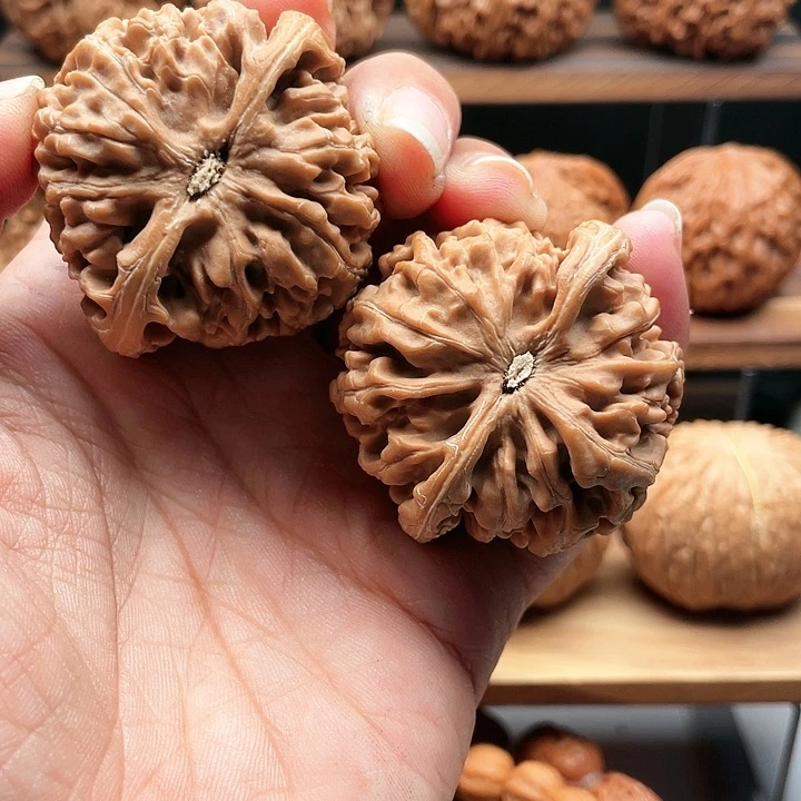 文玩核桃吊坠阳龙尊