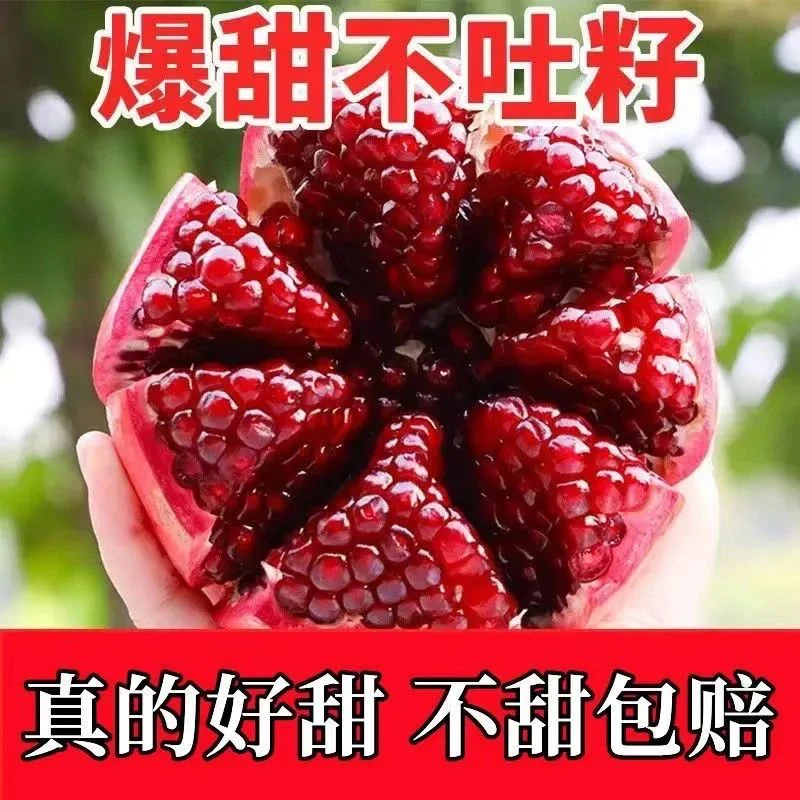 【一级果/送礼首选】四川会理软籽石榴5斤/8斤起顺丰包邮