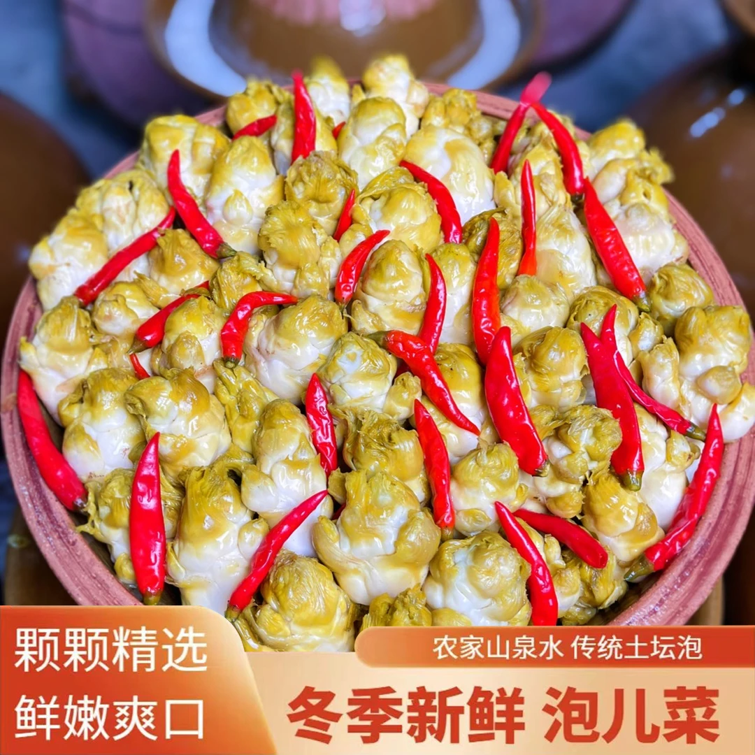 【冬季新鲜泡儿菜】四川传统老坛泡菜土坛脆嫩爽口泡儿菜下饭菜
