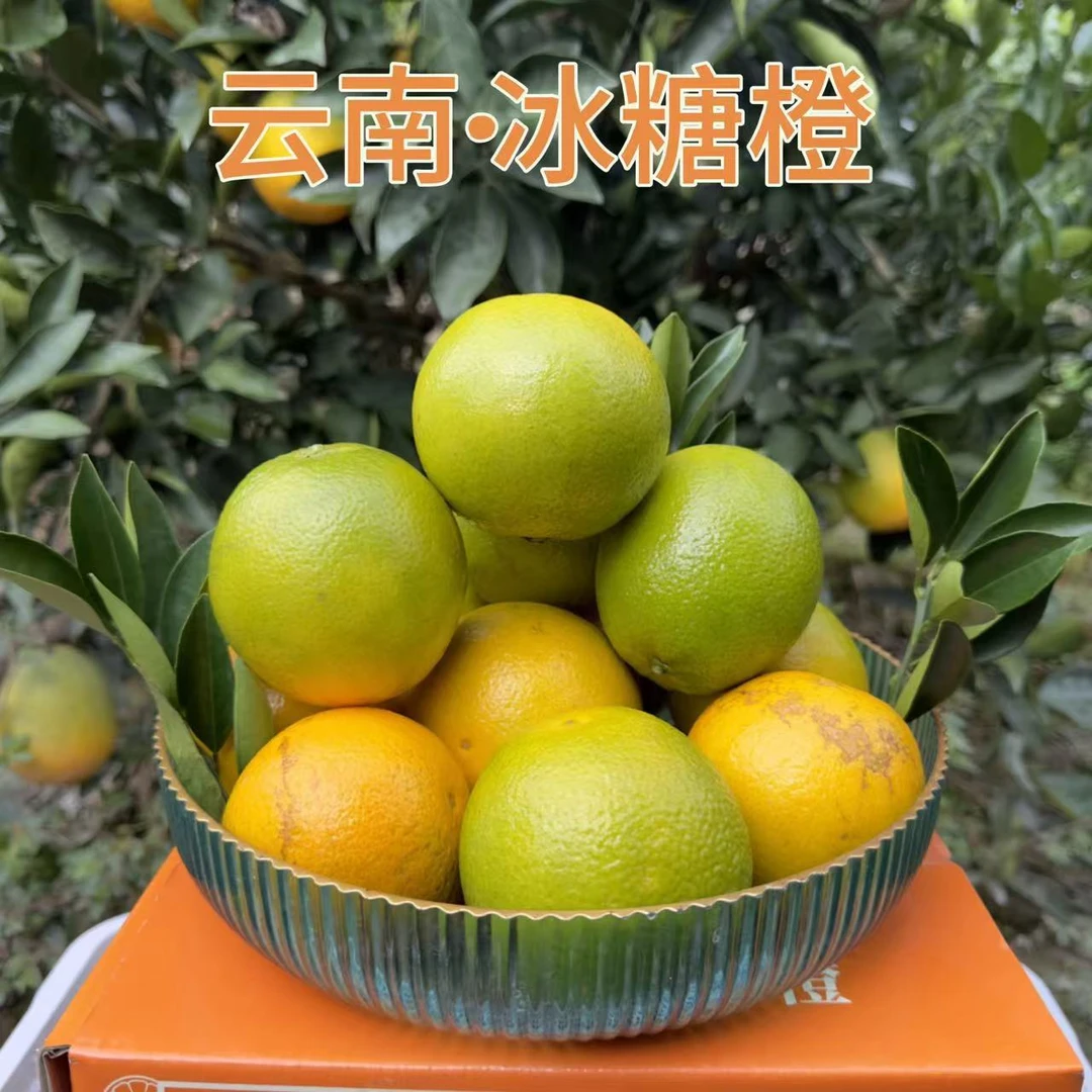 ［坏果包赔］云南玉溪哀牢山冰糖橙4.5斤sy 应季水果绿皮橙子柑橘