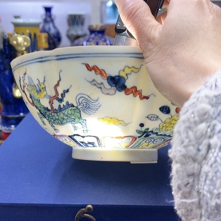 茶宠我是一只小小鸟地域鬼的人生