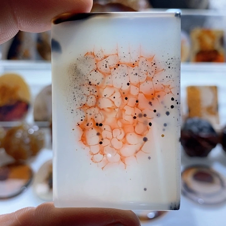 玛瑙/玉髓颈饰未镶嵌