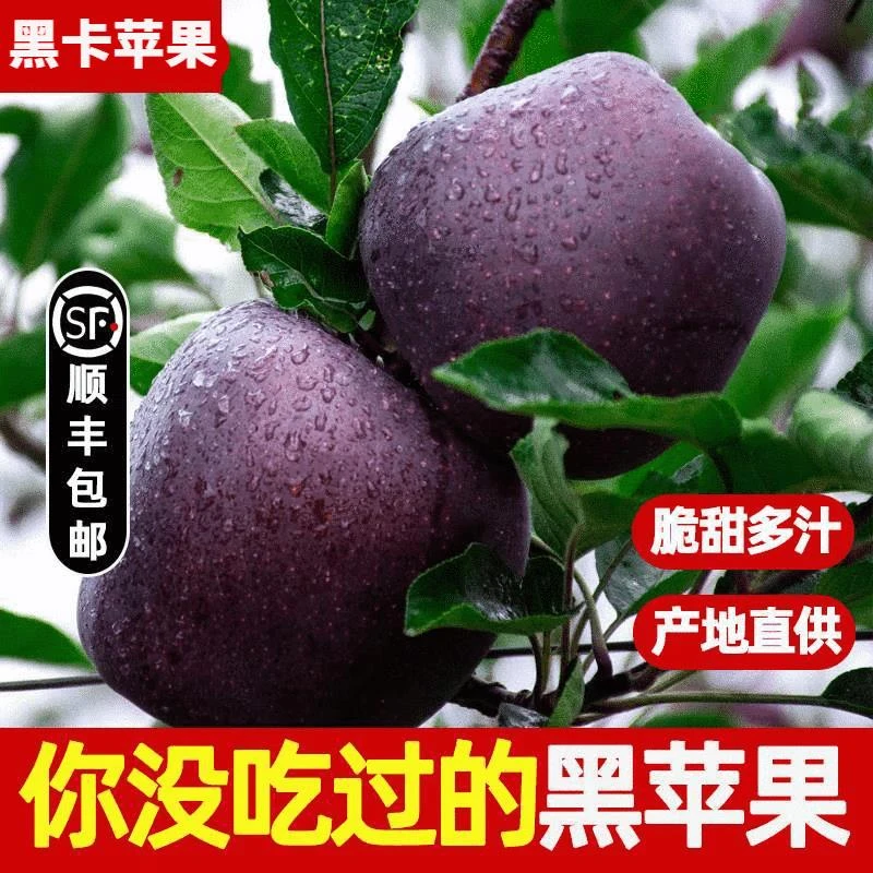 【顺丰包邮】 正宗云南黑卡苹果黑钻苹果当季新鲜孕妇水果现摘5-9斤
