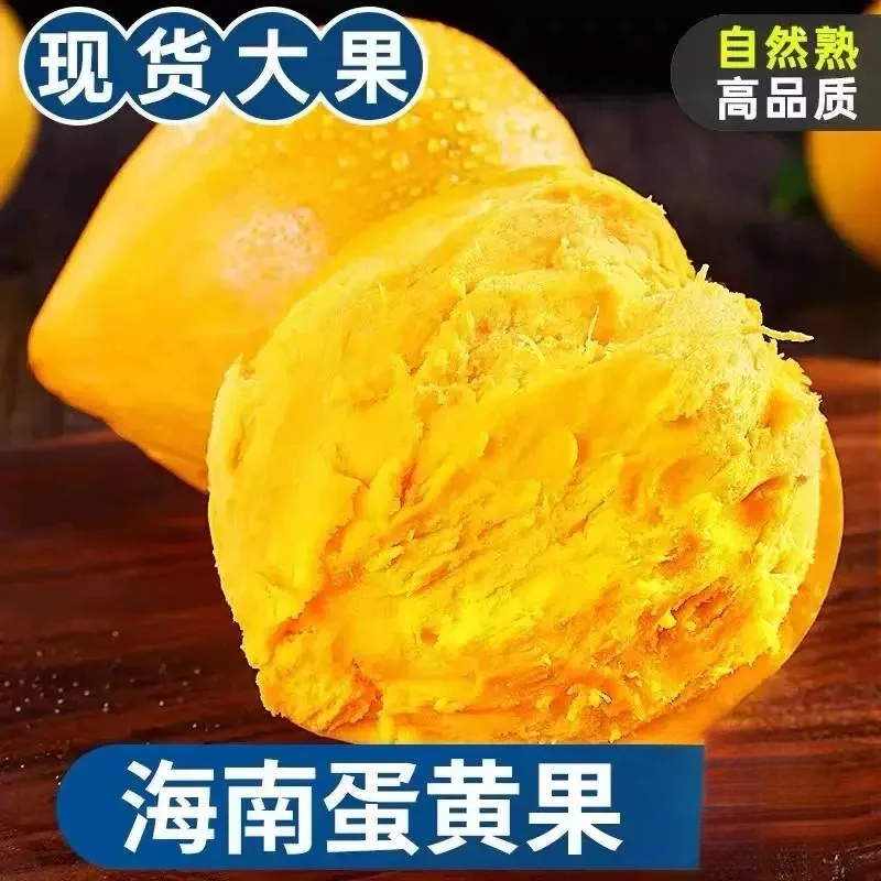 海南蛋黄果云南蛋黄果1-5斤鸡蛋果仙桃狮头果孕妇 新鲜皮薄精品果