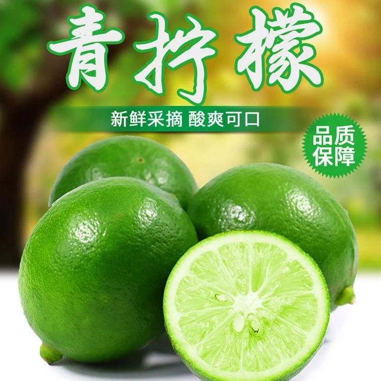 四川安岳黄柠檬新鲜水果包邮当季精选皮薄一级香水鲜甜多汁青柠檬