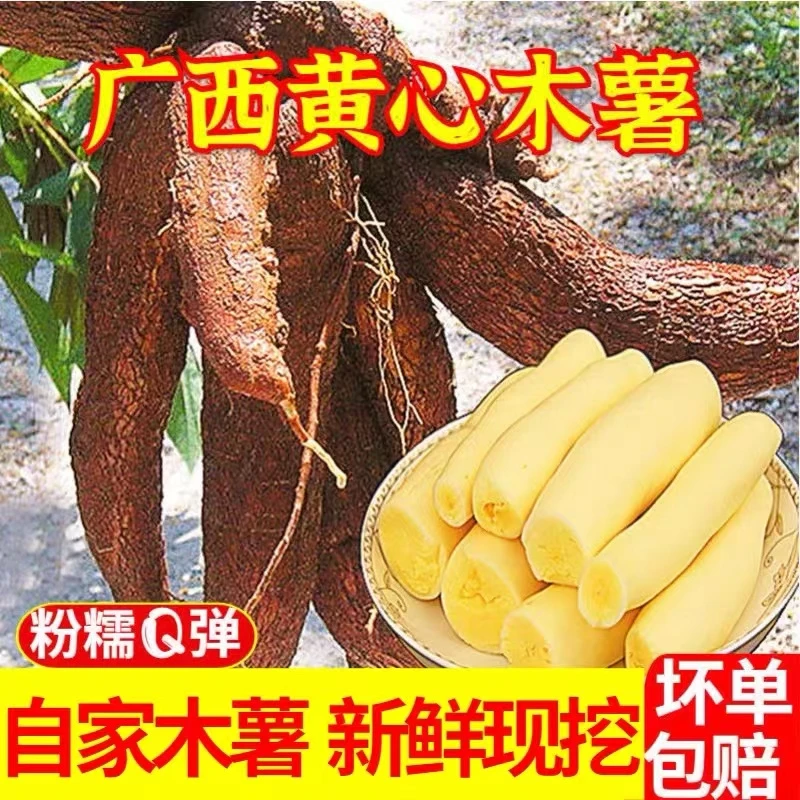 广西黄心木薯新鲜板栗黄肉木薯3-9斤农家新鲜现挖面包木薯羹糖水