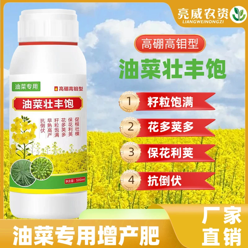油菜丰产粒粒饱提高出油率高产促花授粉抗倒伏籽粒饱满使用叶面肥