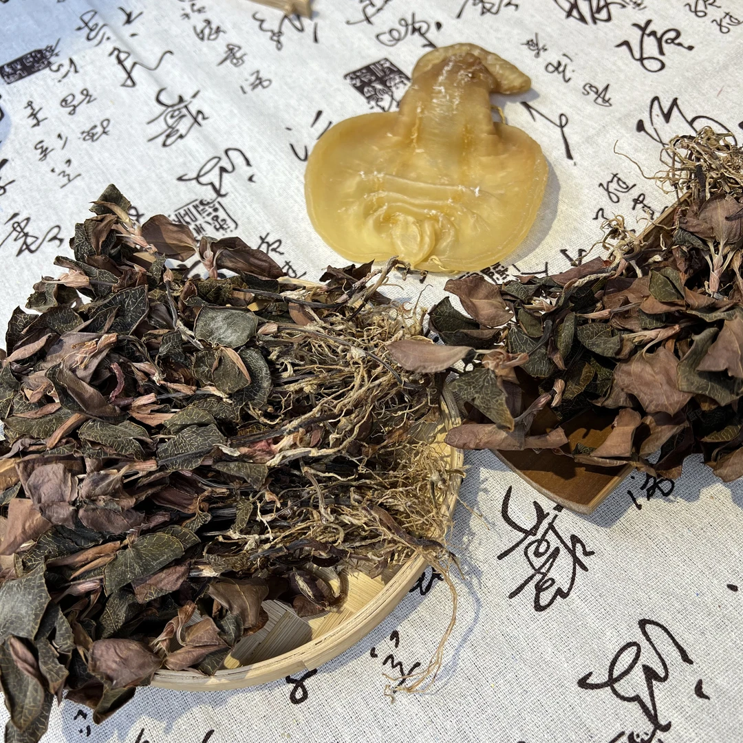 精选福建红霞金线莲干品正株原生态林下种植新鲜烘干50g-500g百干