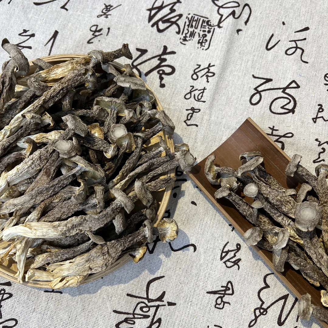 新货精品鹿茸菇干货不开伞无硫鹿茸菌营养煲汤材料脆菇食用菌批发
