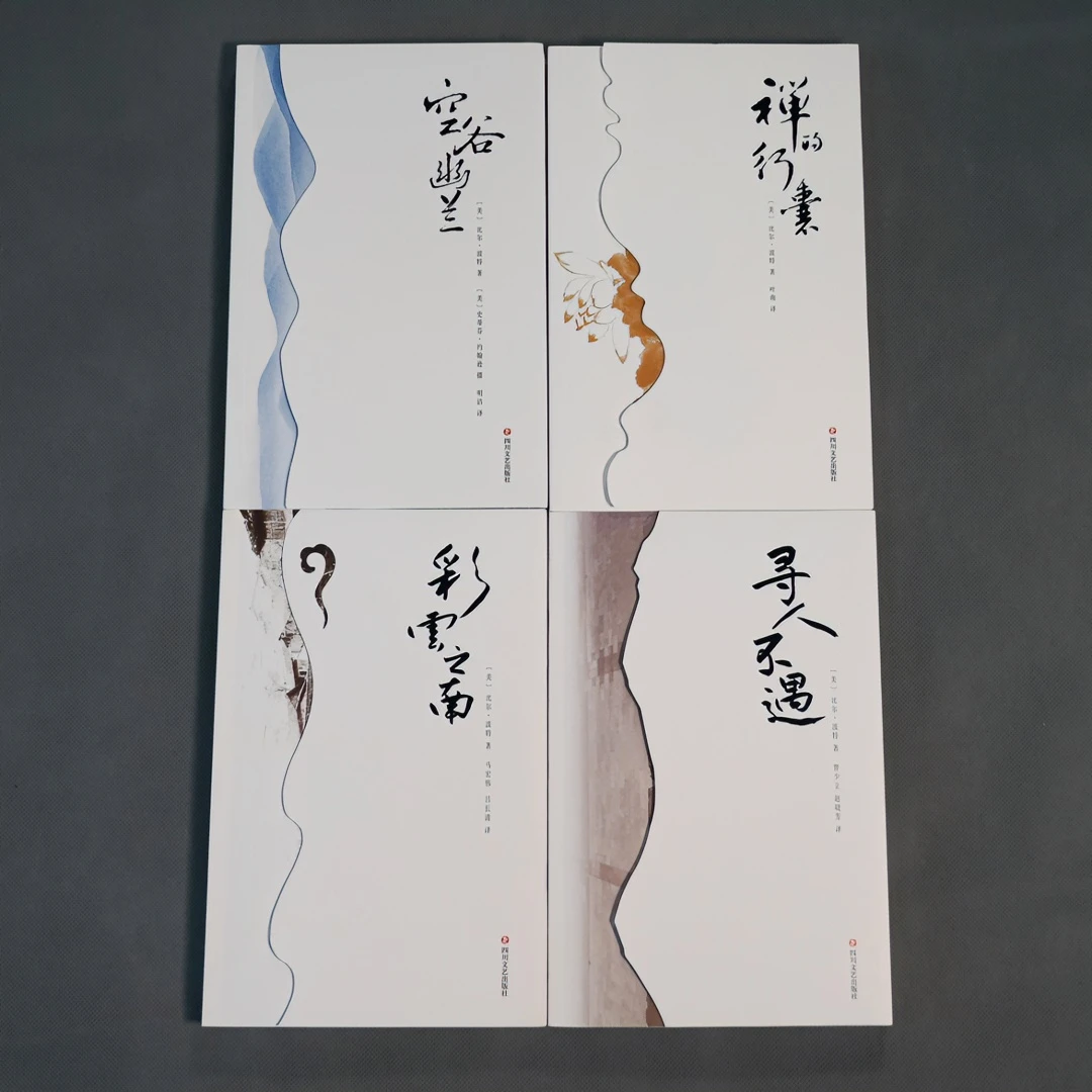 读书人比尔·波特 4本套装：空谷幽兰+彩云之南+禅的行囊+寻人不遇