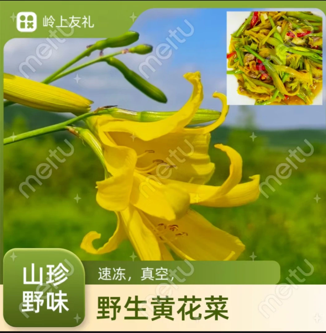 新货大兴安岭 冷冻水焯野生黄花菜金针菜  包邮