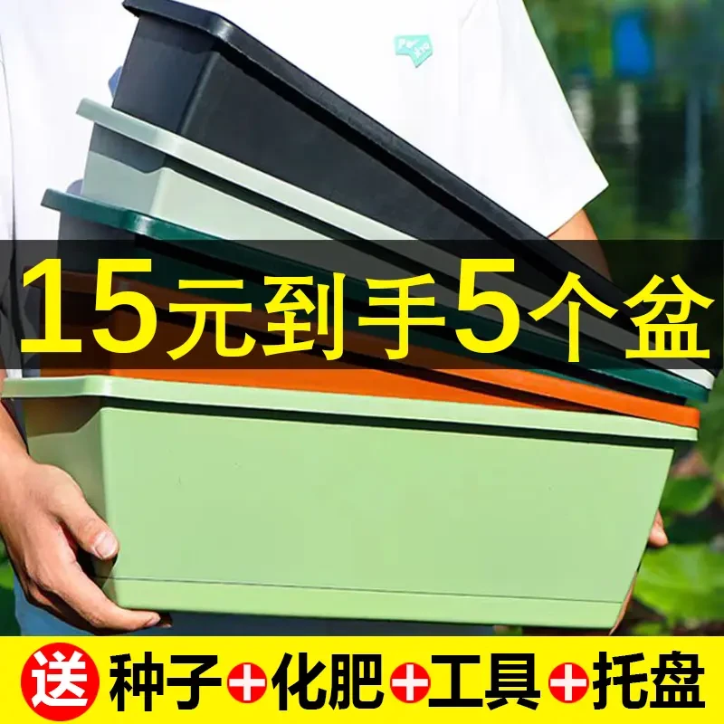 阳台种菜专用盆长方形花盆草莓蔬菜种植箱塑料种植槽简约耐用长条