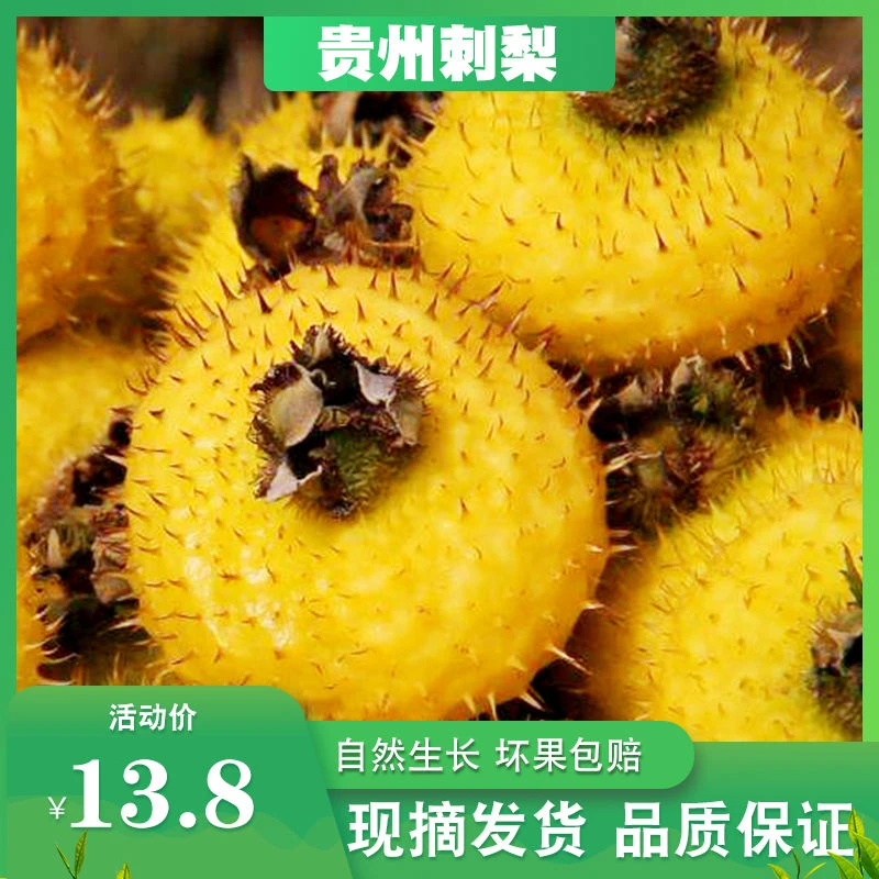 贵州特产刺梨果新鲜野生刺菠萝木梨子山王果维C野果1/2/3/5斤包邮