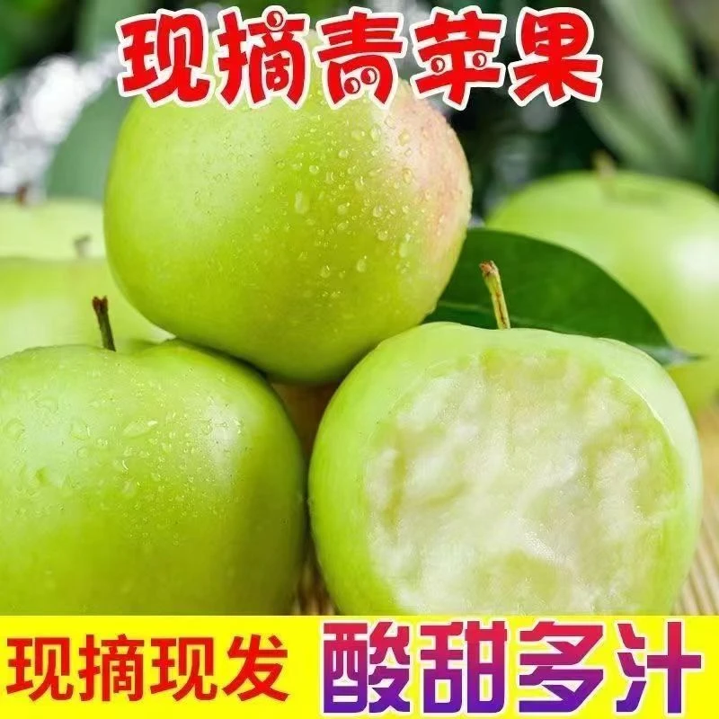 【邮政助农补贴】头茬青苹果酸甜脆多汁现摘现发孕妇小孩水果应季脆