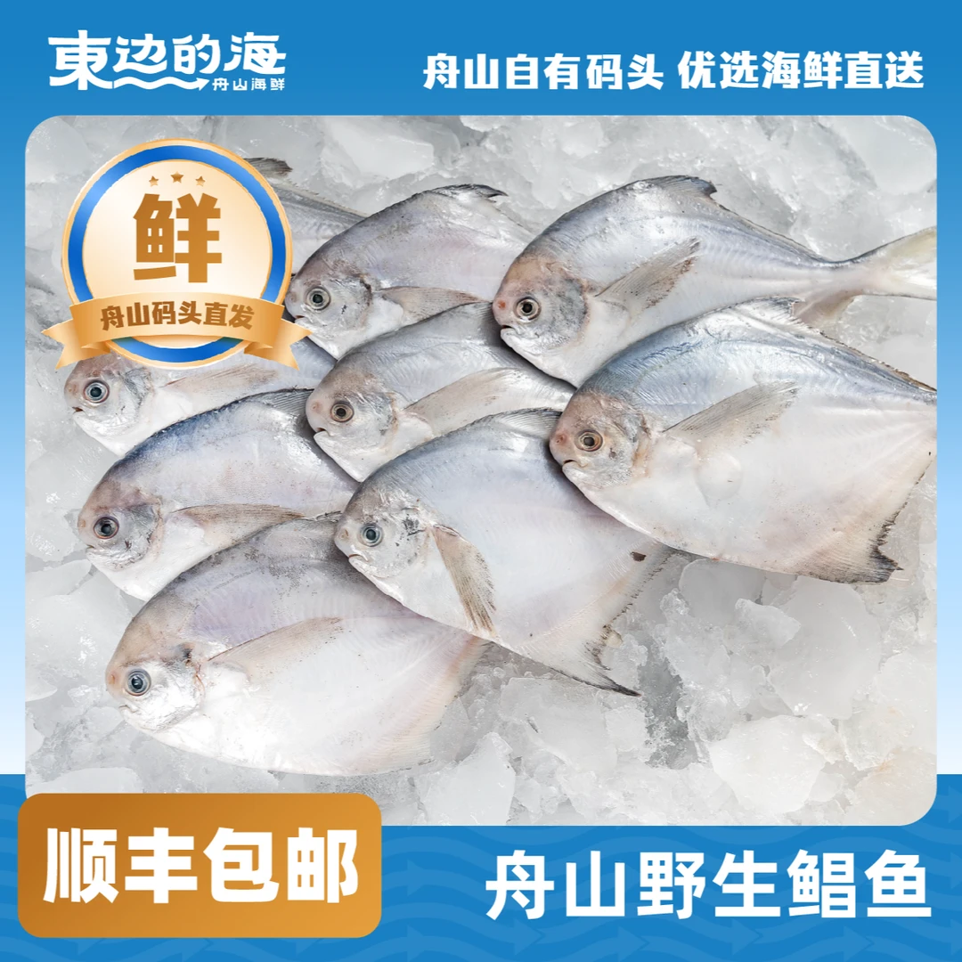 东边的海舟山深海捕捞正宗鲳鱼银鲳平鲳当季捕捞速冻锁鲜顺丰包邮