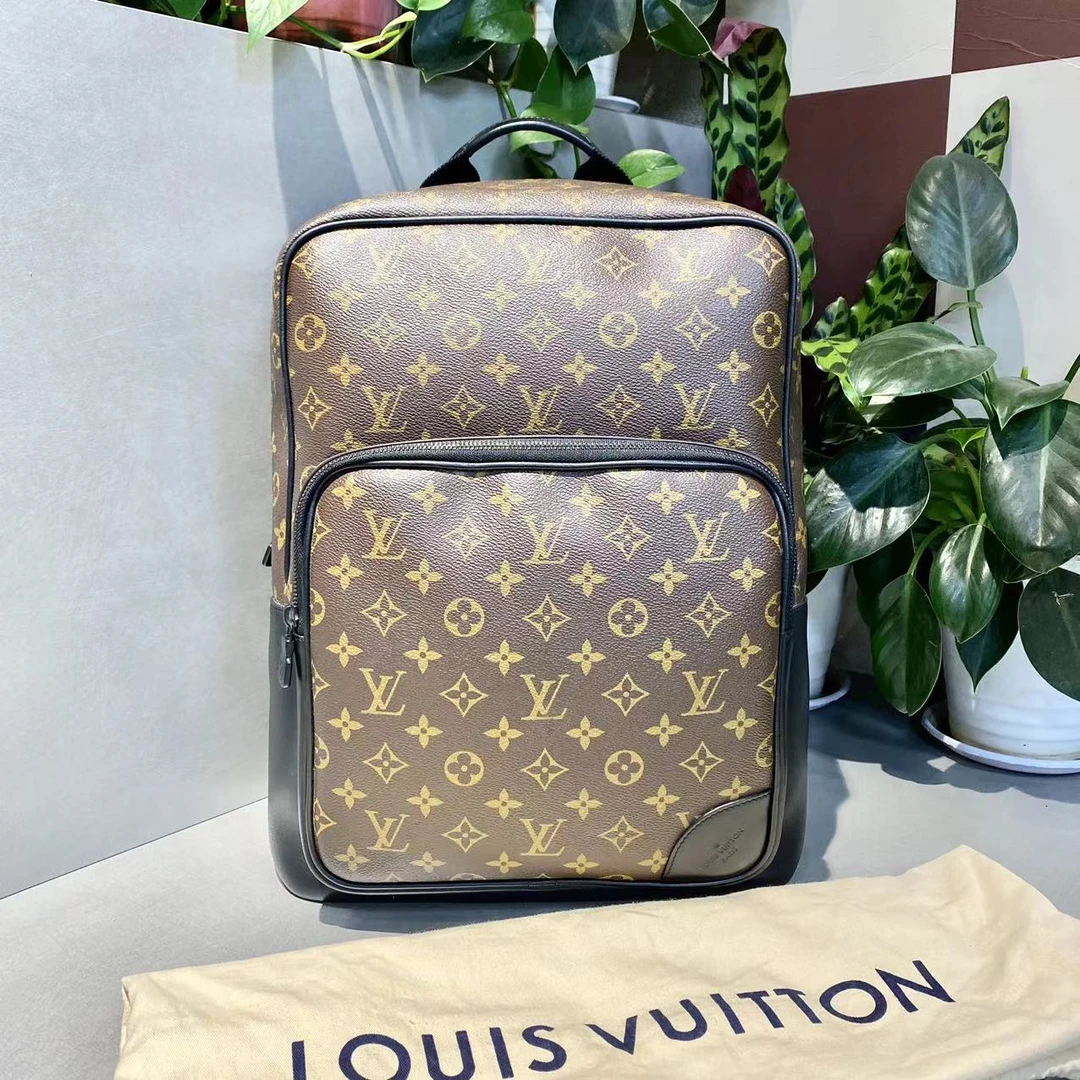 95新 LouisVuitton/路易威登 LV   老花背包 双肩包-2