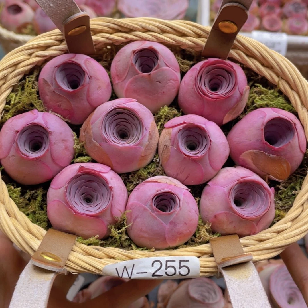花篮组合w255一物一拍