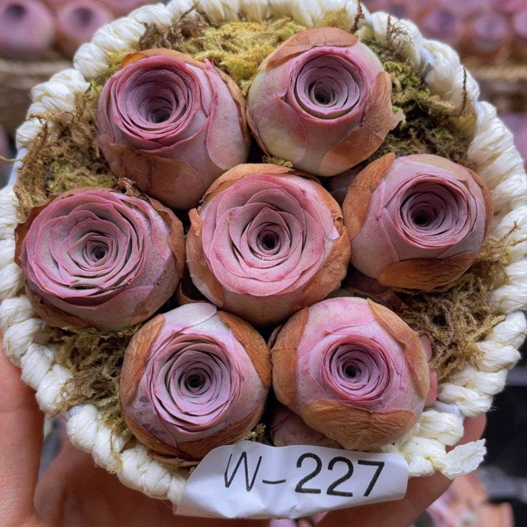 花篮组合w227一物一拍